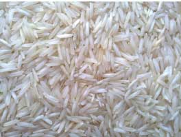 Basmati Steam Rice Manufacturer Supplier Wholesale Exporter Importer Buyer Trader Retailer in Nagpur Maharashtra India